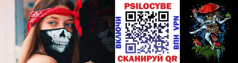 Галлюциногенные грибы Psilocybine cubensis  закладка  Сим 